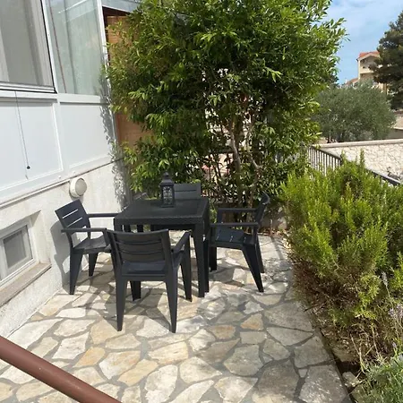 Ante Vodice